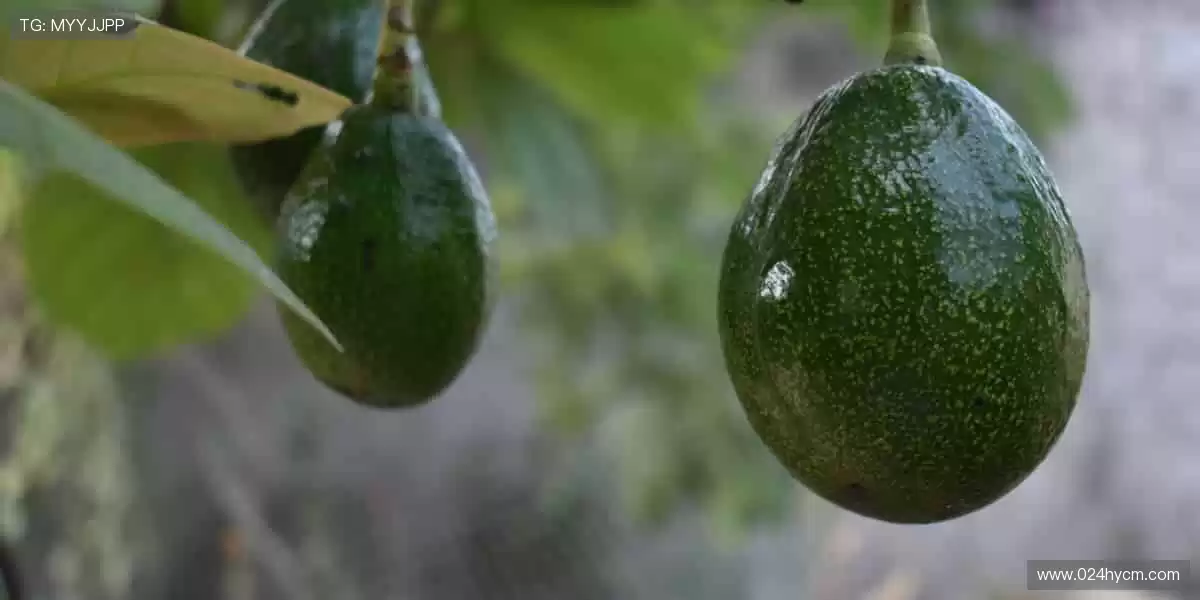 📢一键订阅,精彩赛事永不缺席,热血与你同在!❤️